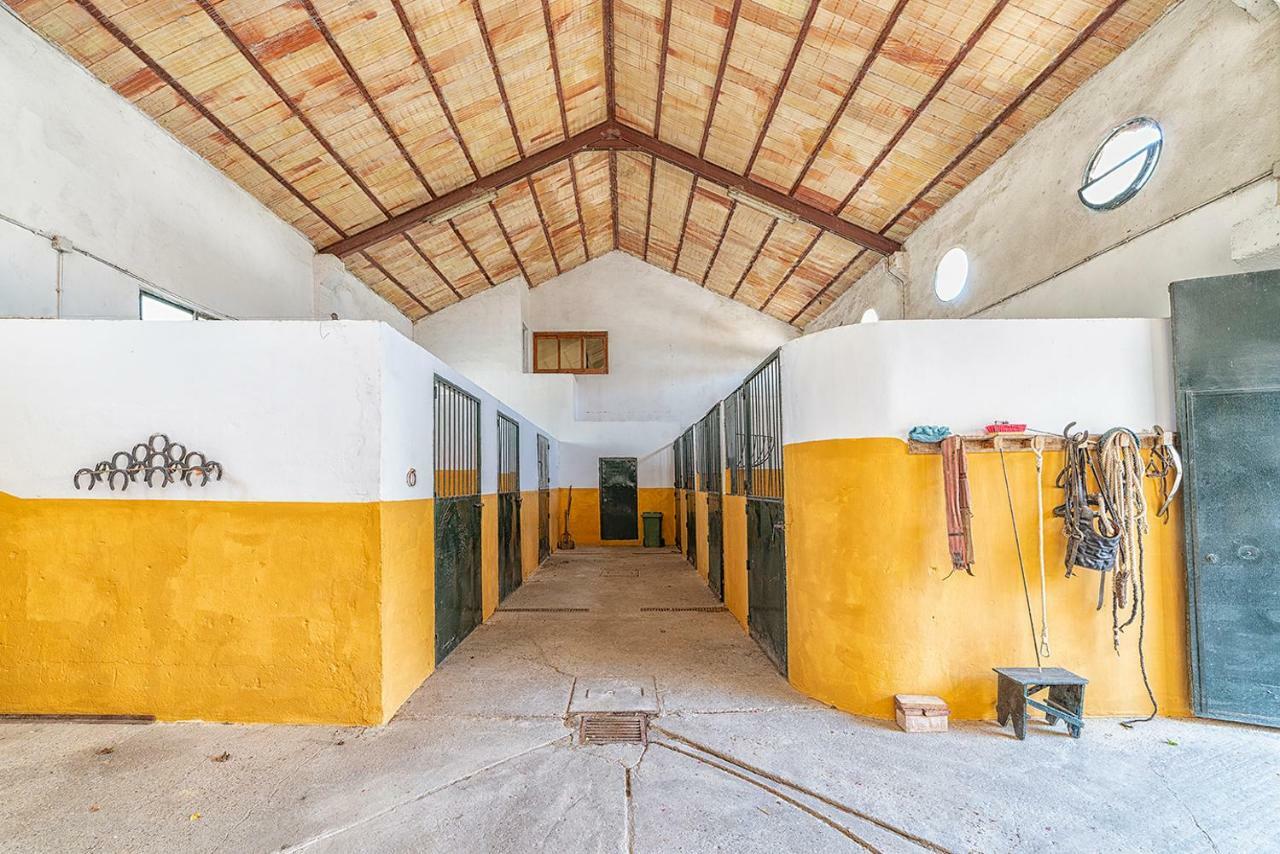 Alterhome Private Villa Cortijo Sierra Y Lago Arcos de la Frontera Eksteriør billede